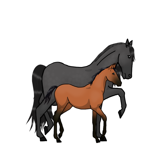 Horses