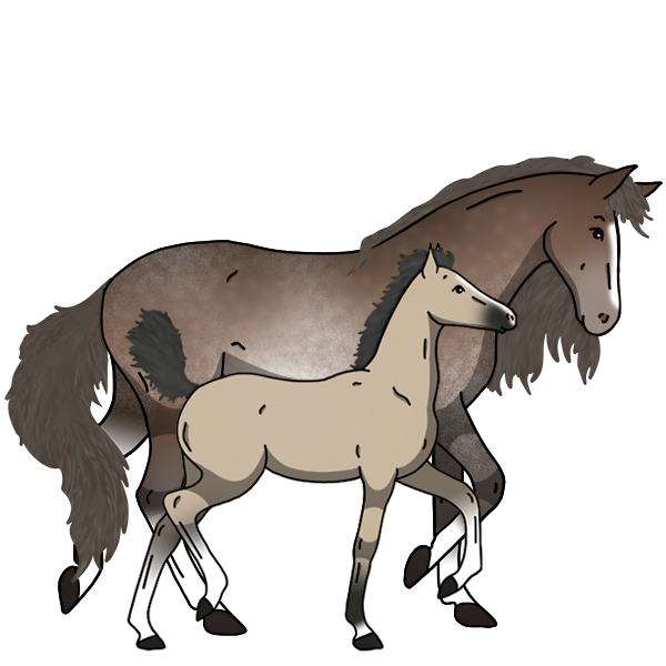 Horses