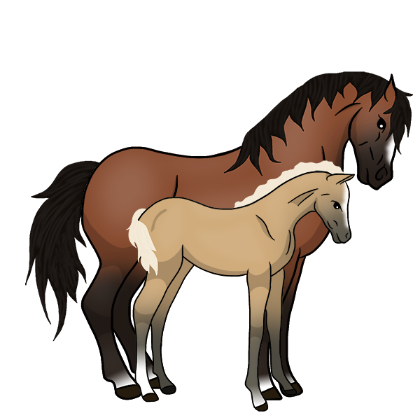 Horses